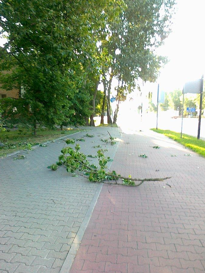 Połamane gałęzie to tylko niewielkie skutki wczorajszej wichury