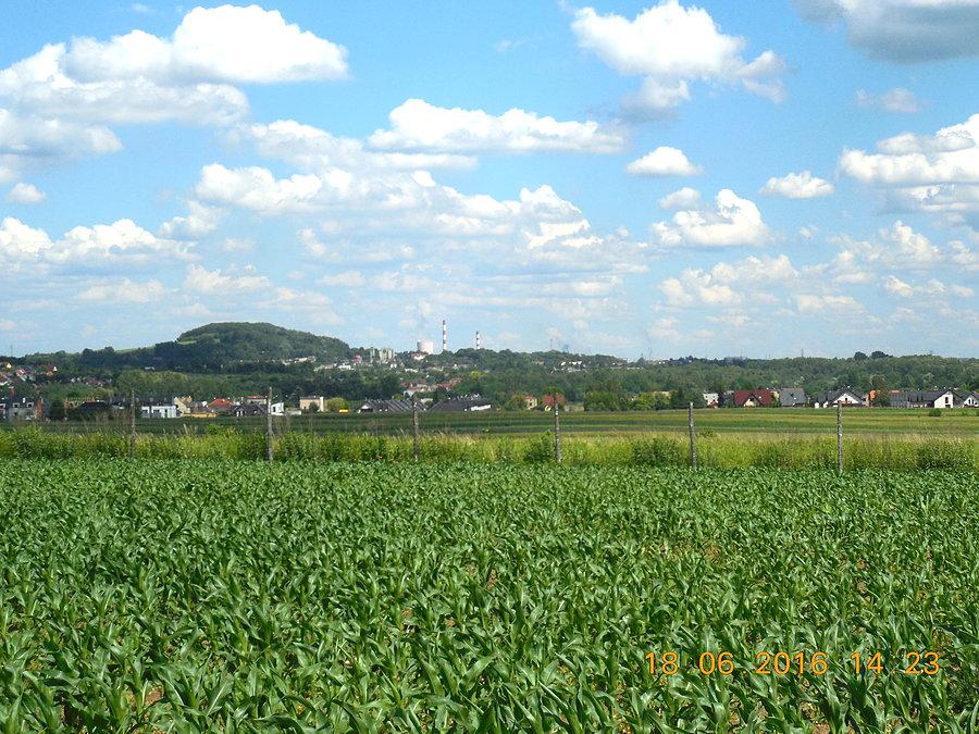 Jeden z celów - Góra Świętej Doroty