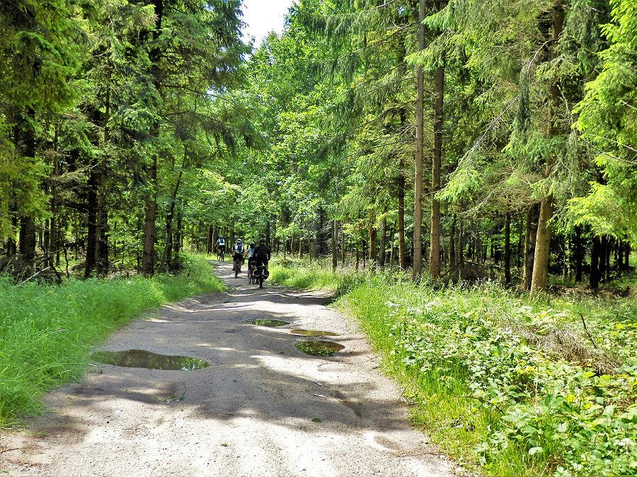 Wycieczka do Przywidza - Lawendowa Osada.Na trasie
