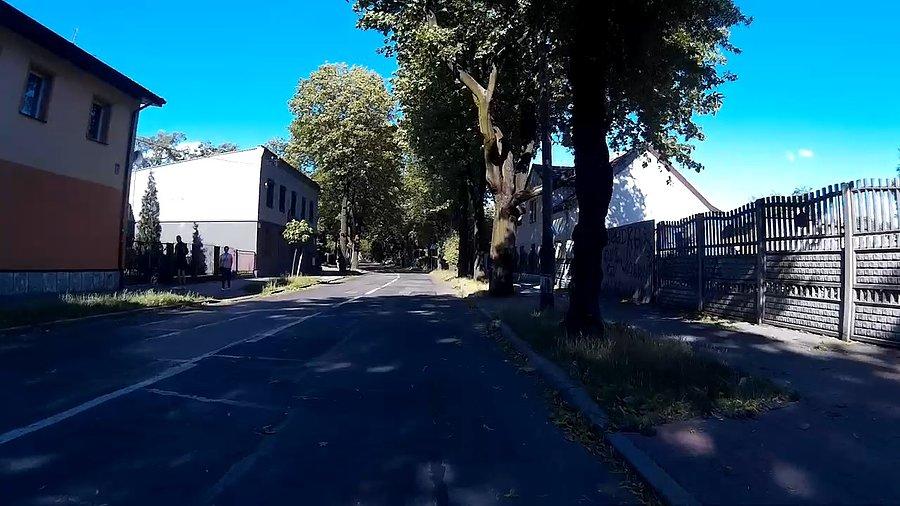 Masa liści i gałązek na drogach