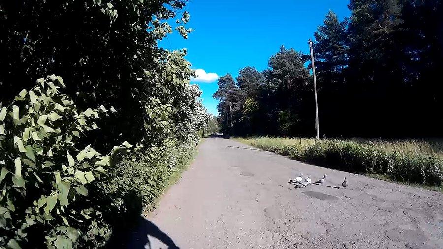 Chyba mnie olały