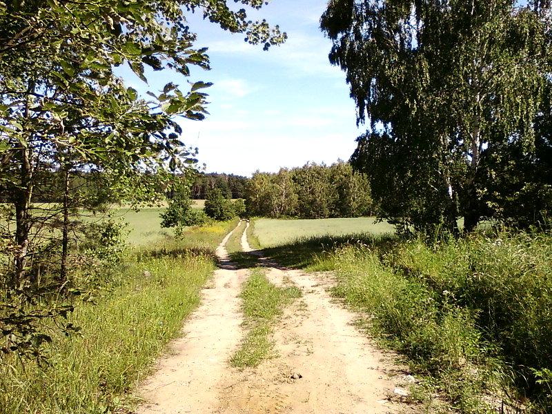 Droga koło Dobieszkowa