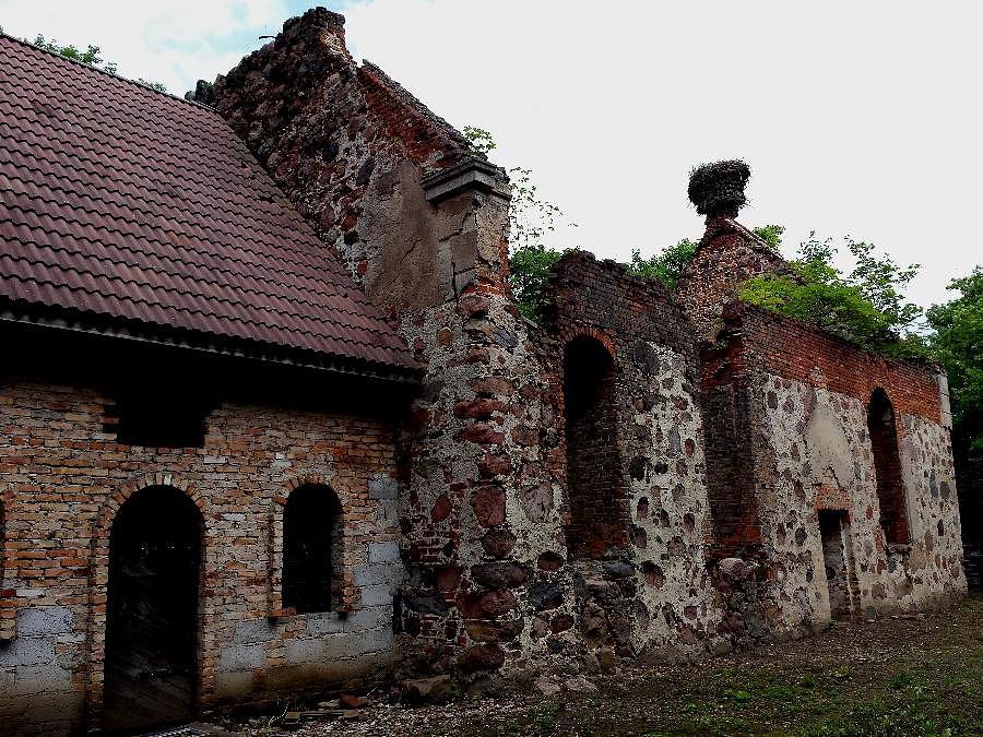 Ryszewo (niem.Gross Rischow) - Ruina gotyckiego kościoła z XV w