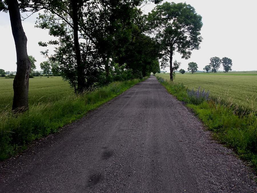 Żużlówka do Kłębów