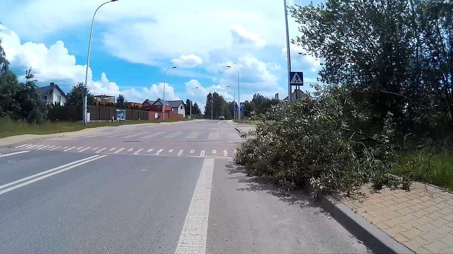 Złamane drzewo po ostatnich wichurach