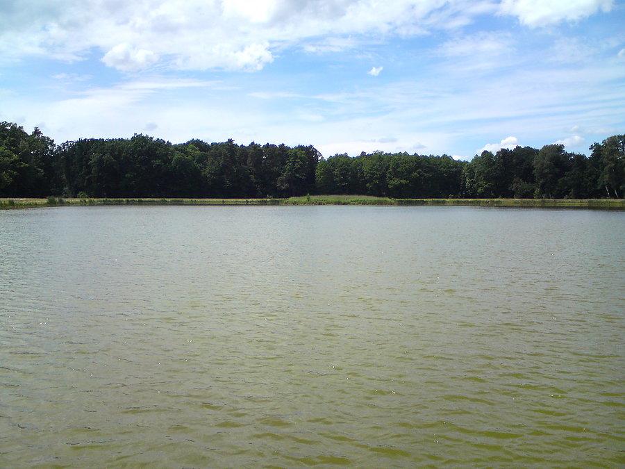Nad wodą