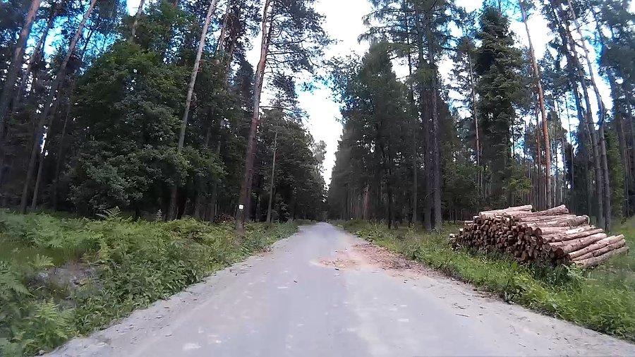 W drodze do Kobióra