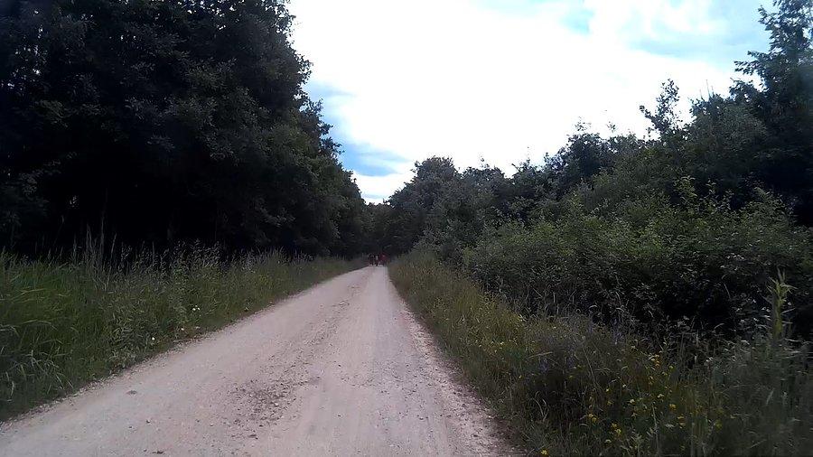 Leśne ścieżki