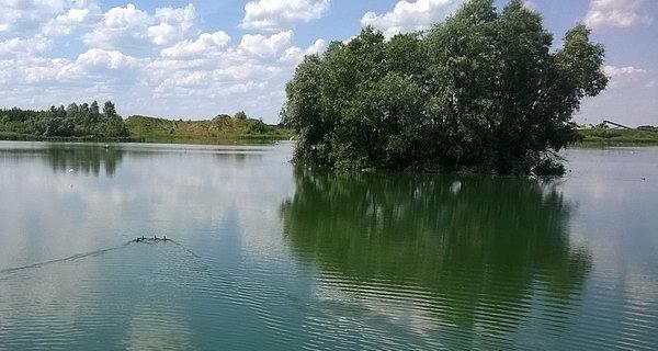 Żwirownia w Miedzyrzecu Podlaskim