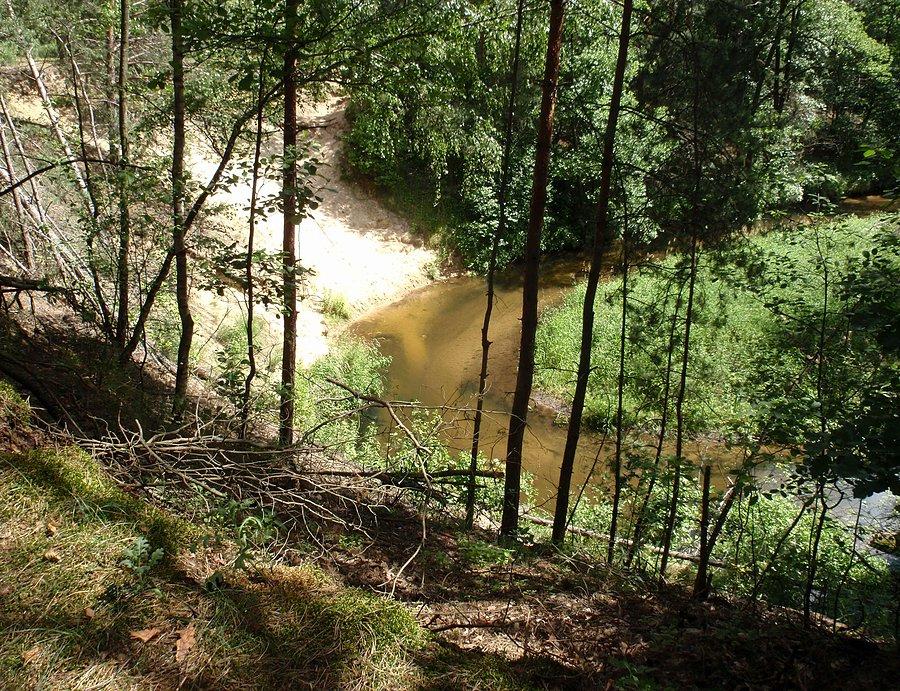 Zakole Kocinki