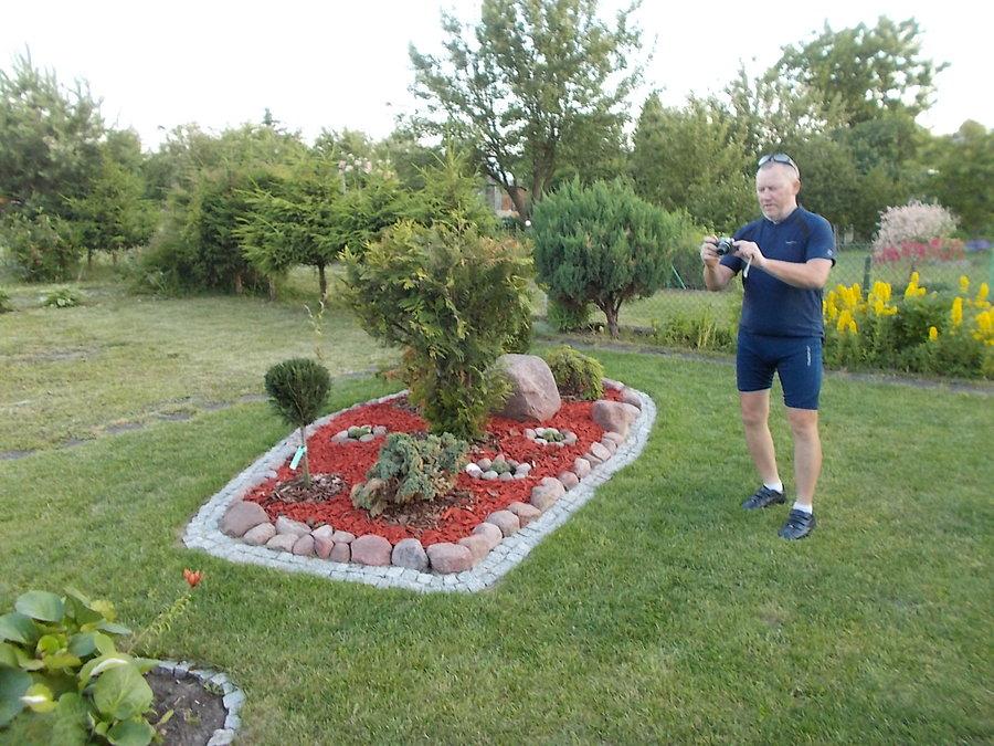 Krzywy na działce Dareckiego