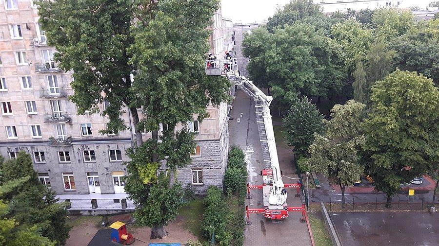 Usuwanie skutków wichury na Ochocie