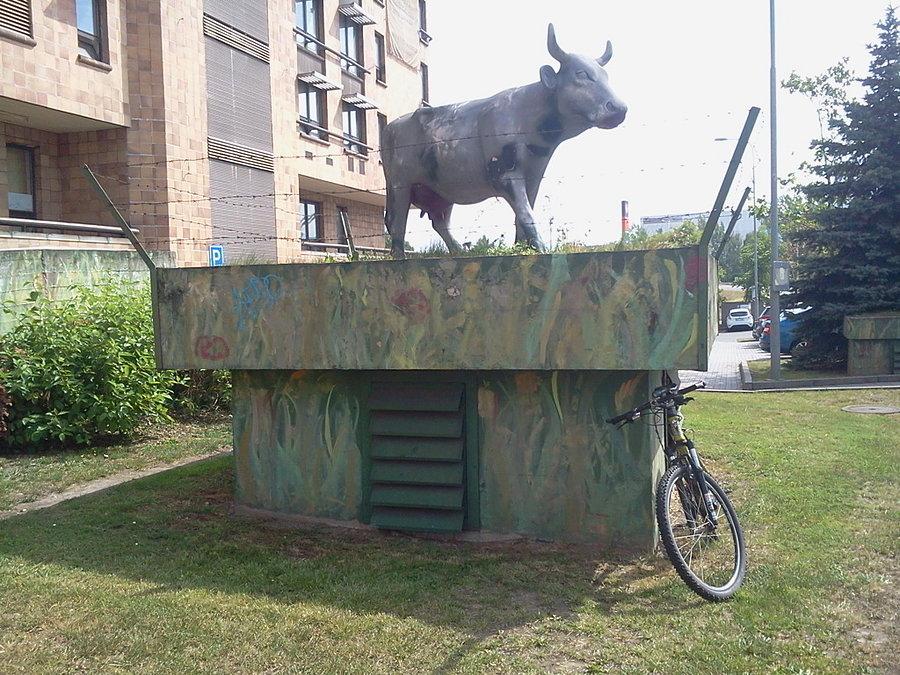 Santa krava