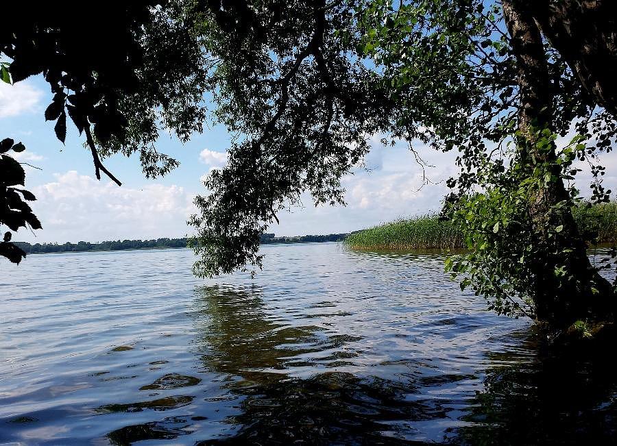 Jezioro Miedwie w Wierzchlądzie