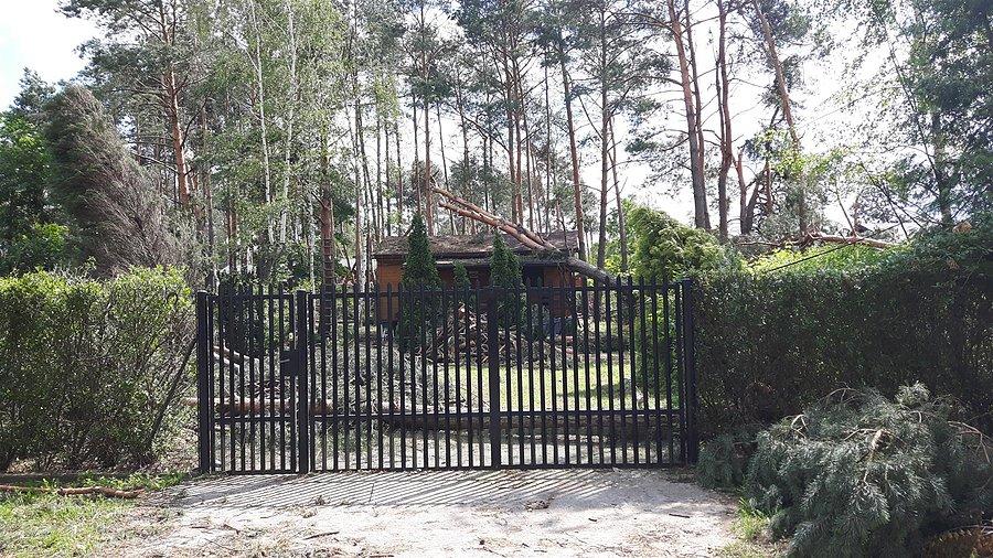 Powalone drzewa w Błędowie