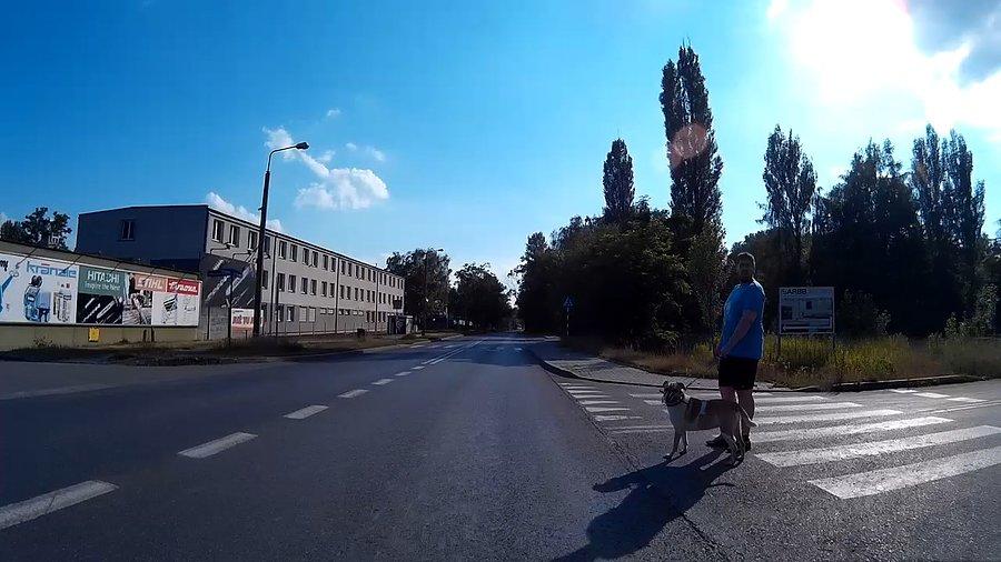 Jak wyprowadzać pana