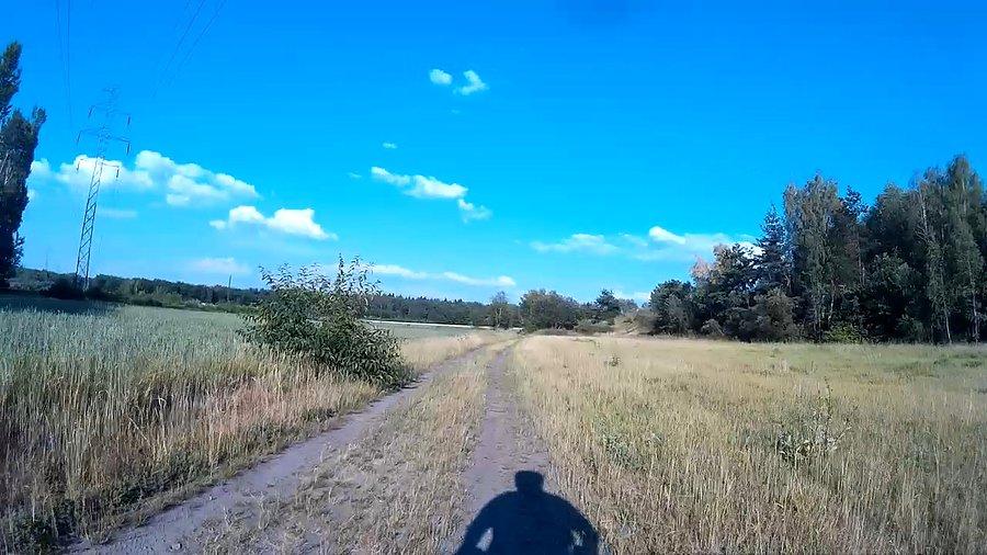 Przez łąki