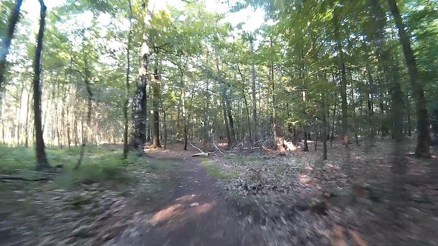 Mały singletrack