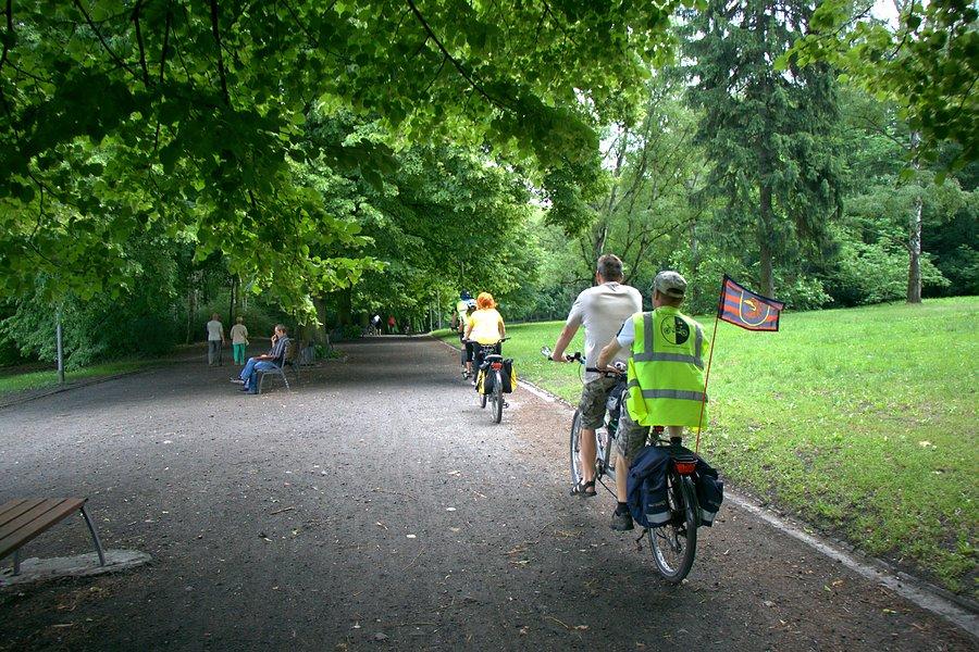 W drodze na Jasne Błonia po Kasię