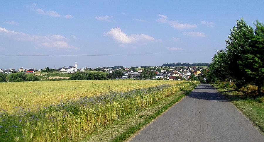 Darkovice