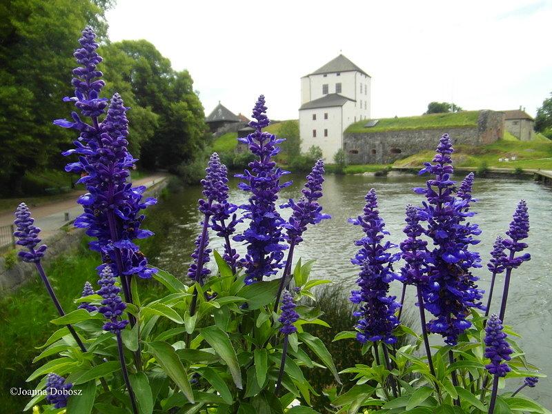 Zamek - Nyköping - Szwecja