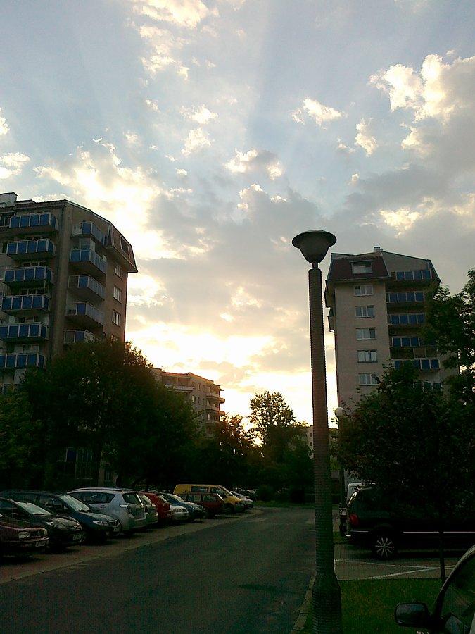 Świta