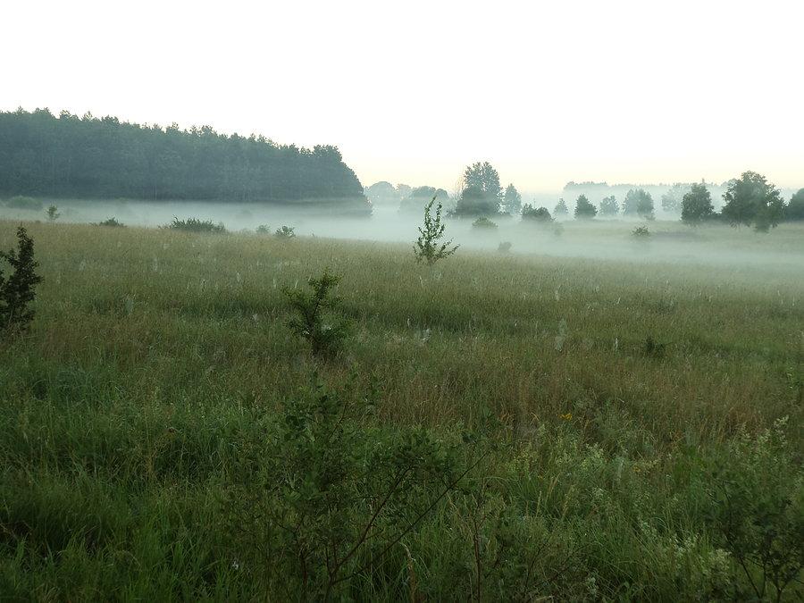 Piętrowe mgły tuż przed wschodem słońca