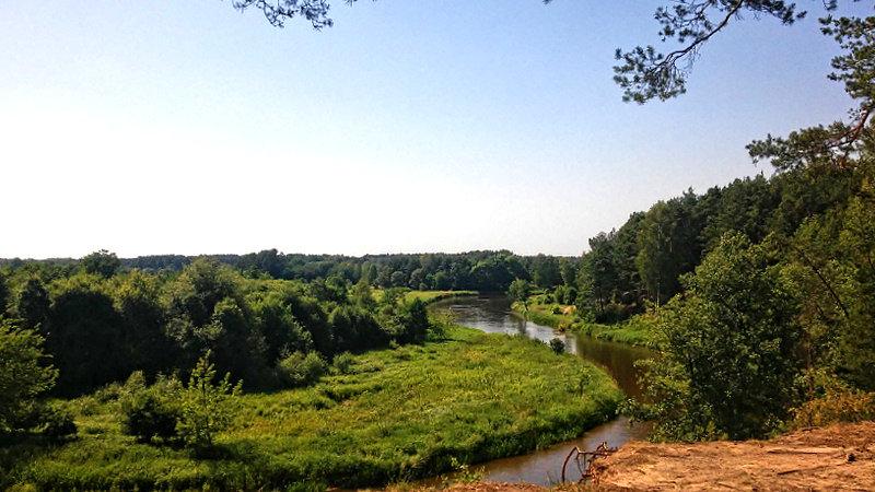 Meandrująca Pilica