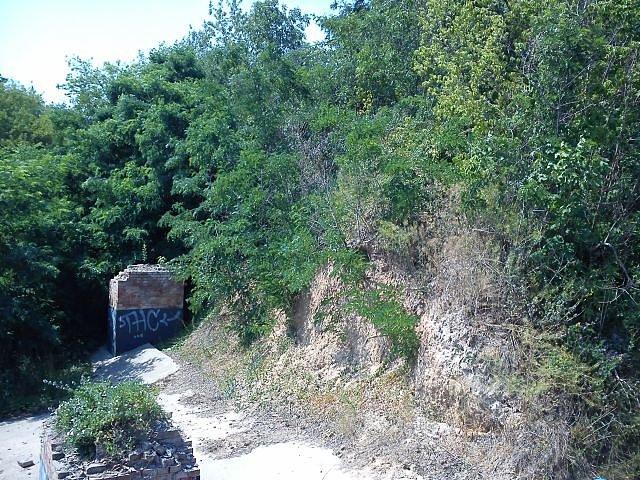 Fort Zbarż w cieniu liści