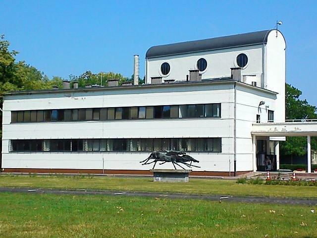Jedyne pędzące dziś konie to te odlane w spiżu na terenie administracji. Nie chciało mi się podchodzić bliżej. Słońce było już zbyt uciążliwe