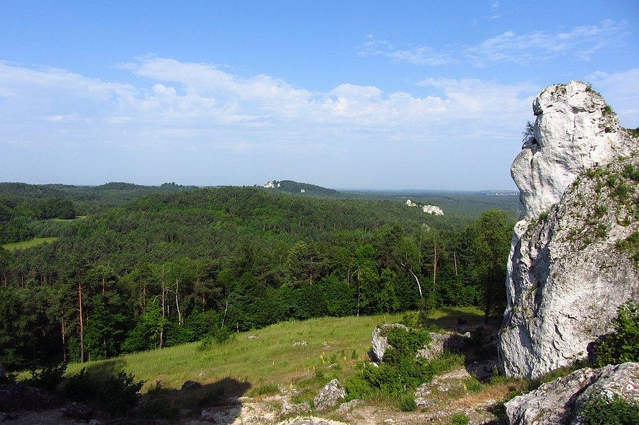 Widok z Góry Zborów