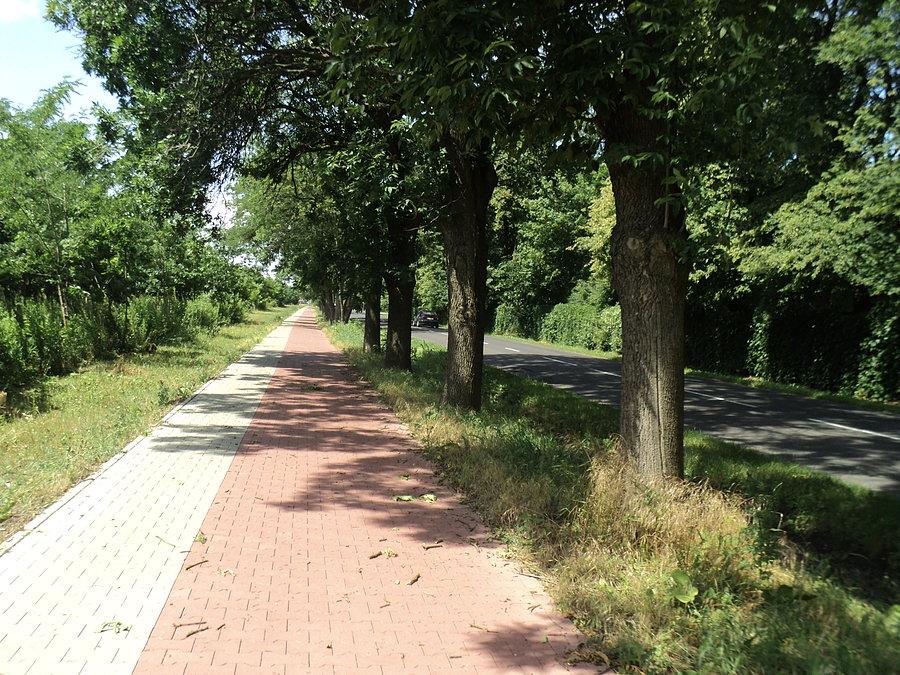 Strzykuły - Kaputy