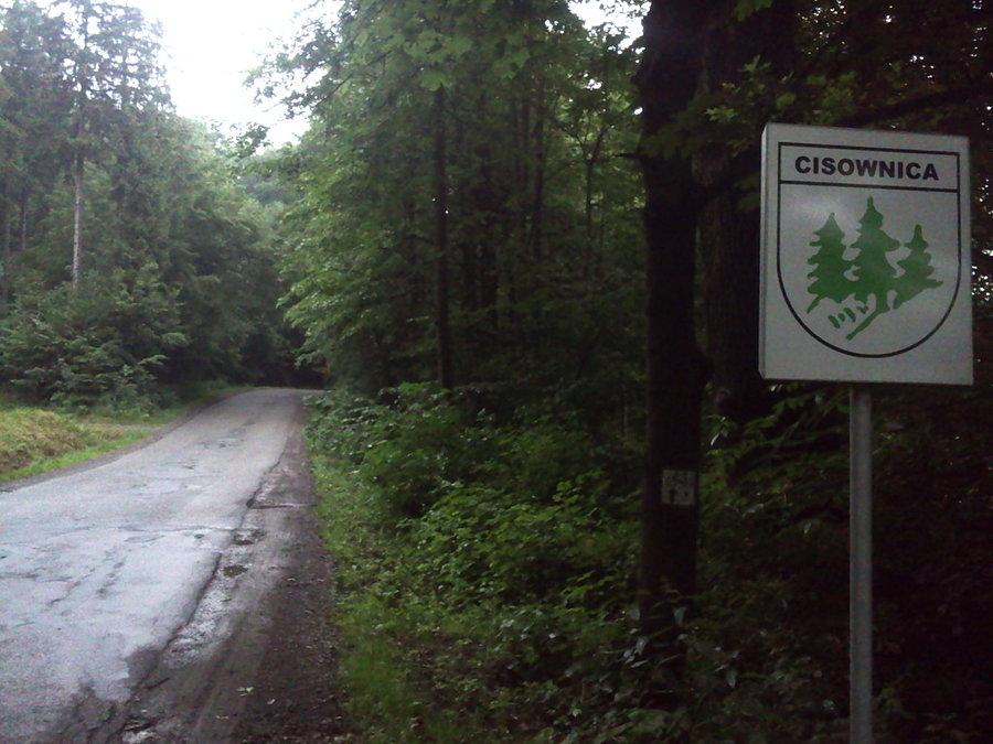 Cisownica