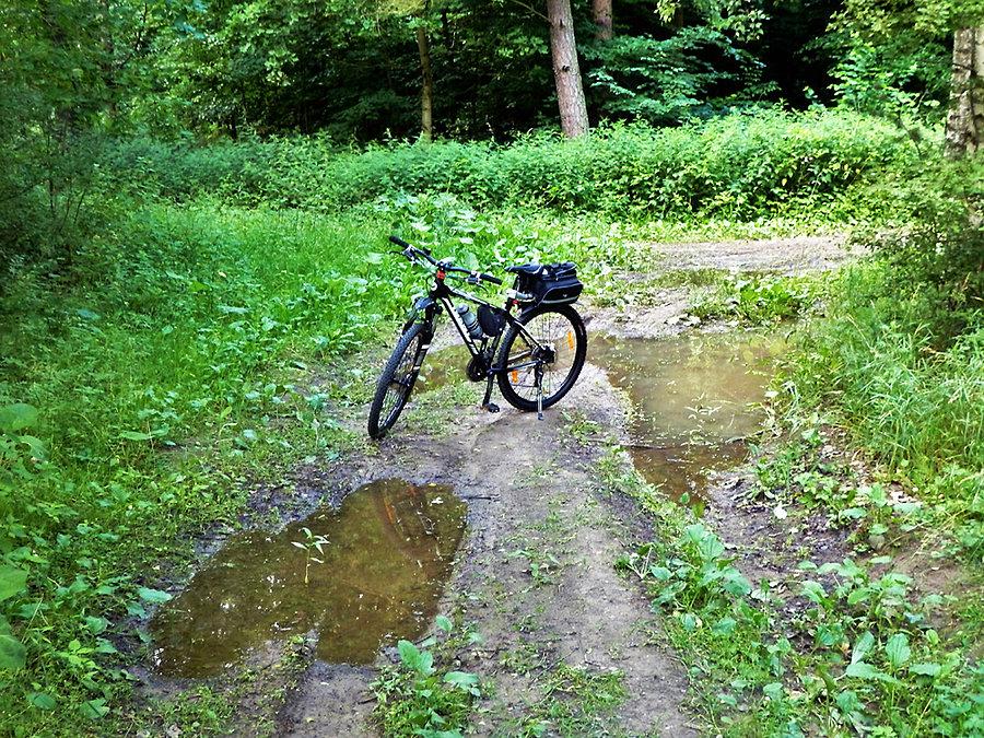Rowerkiem po lesie - okolice Tczewa