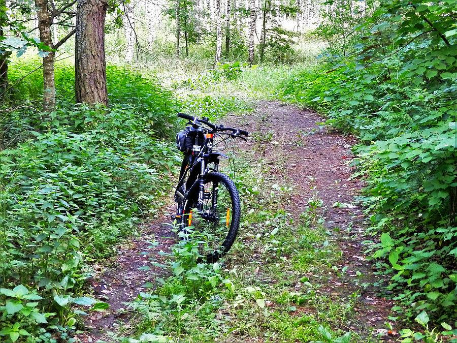 Rowerkiem po lesie - okolice Tczewa