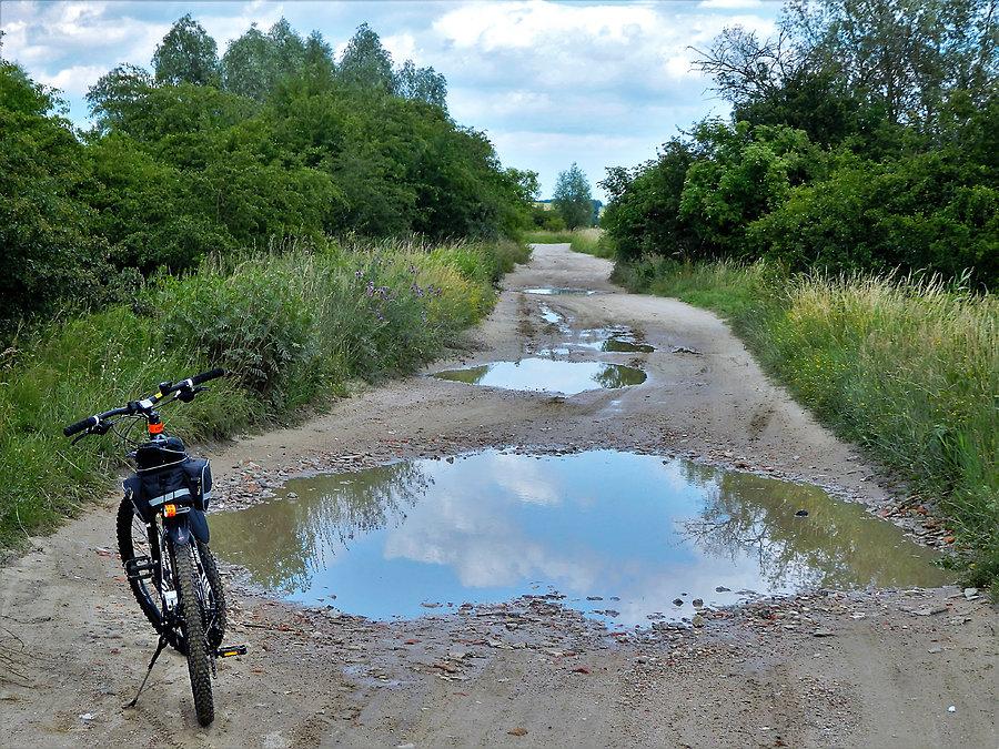 Rowerkiem po lesie - okolice Tczewa
