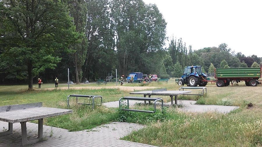 Park na Zdrowiu
