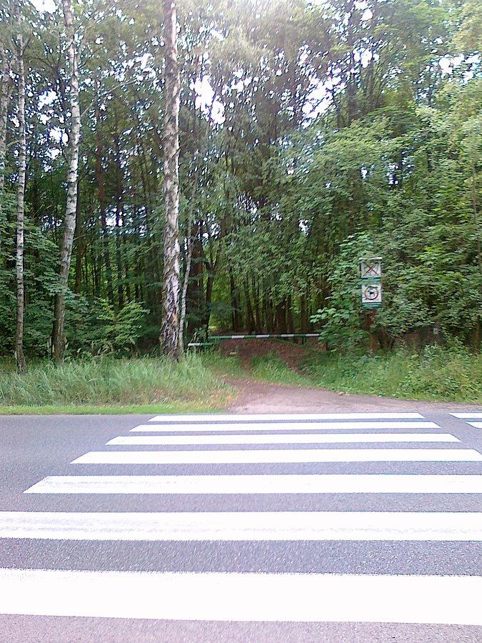 Leśnyn przejazd przez Estrady