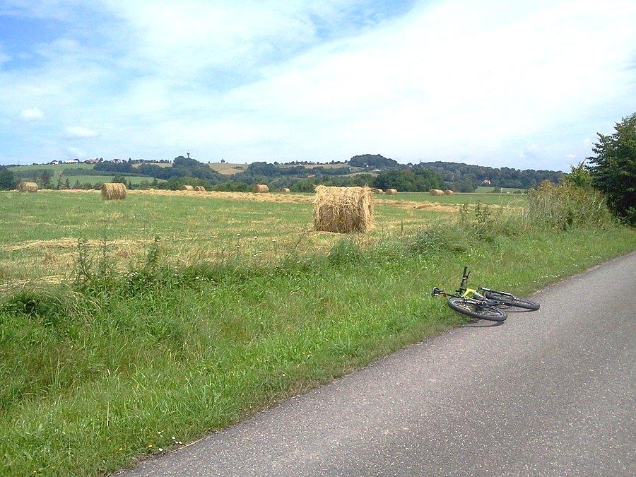 Trzanowice