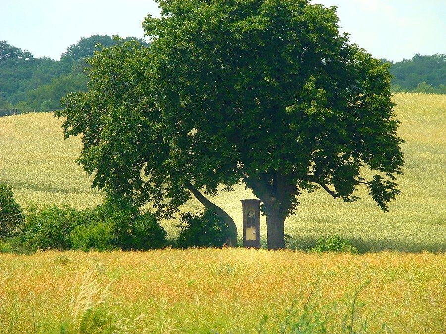 Kapliczka na polnej drodze za Głogowem II