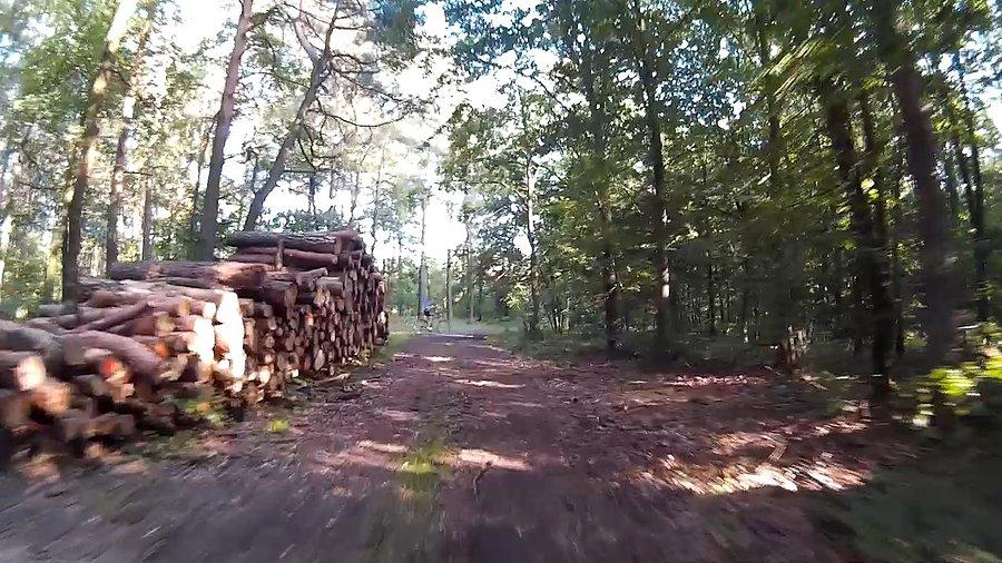 Trwa wycinka