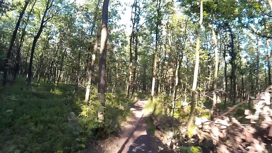 Znajomy singletrack