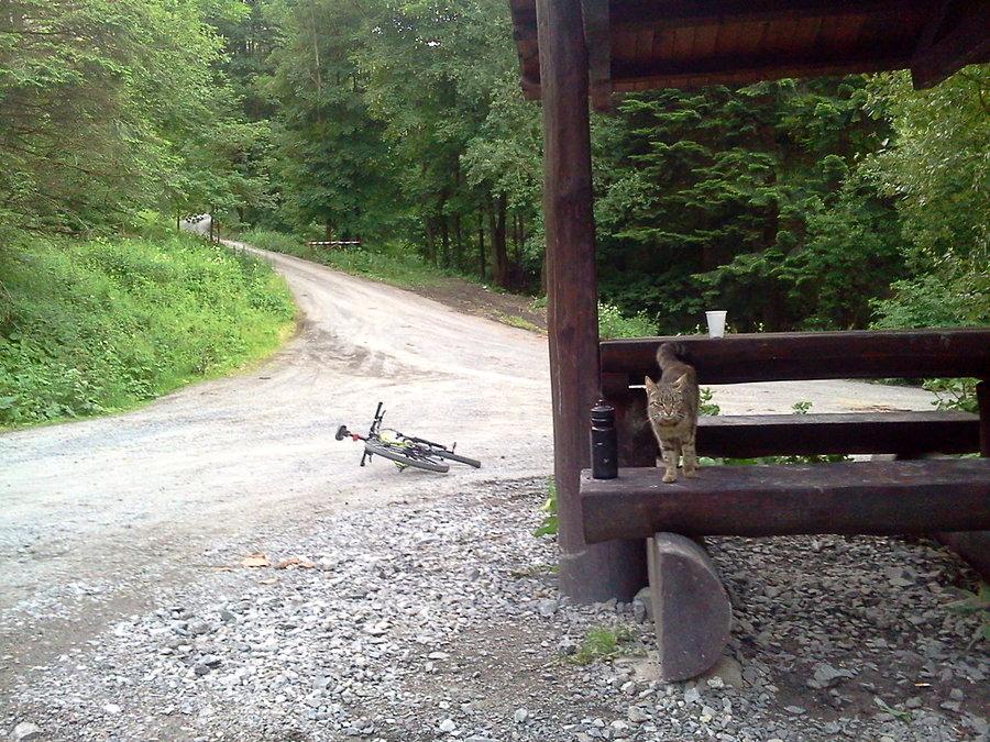 Tankowanie w źródełku i do góry