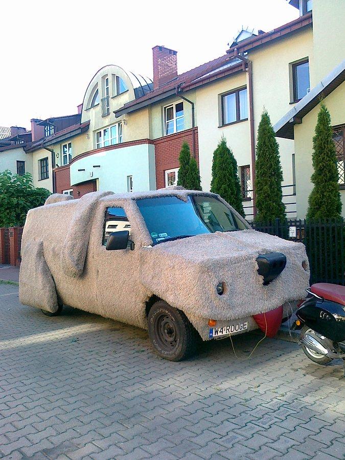 Taką mam mordkę :)