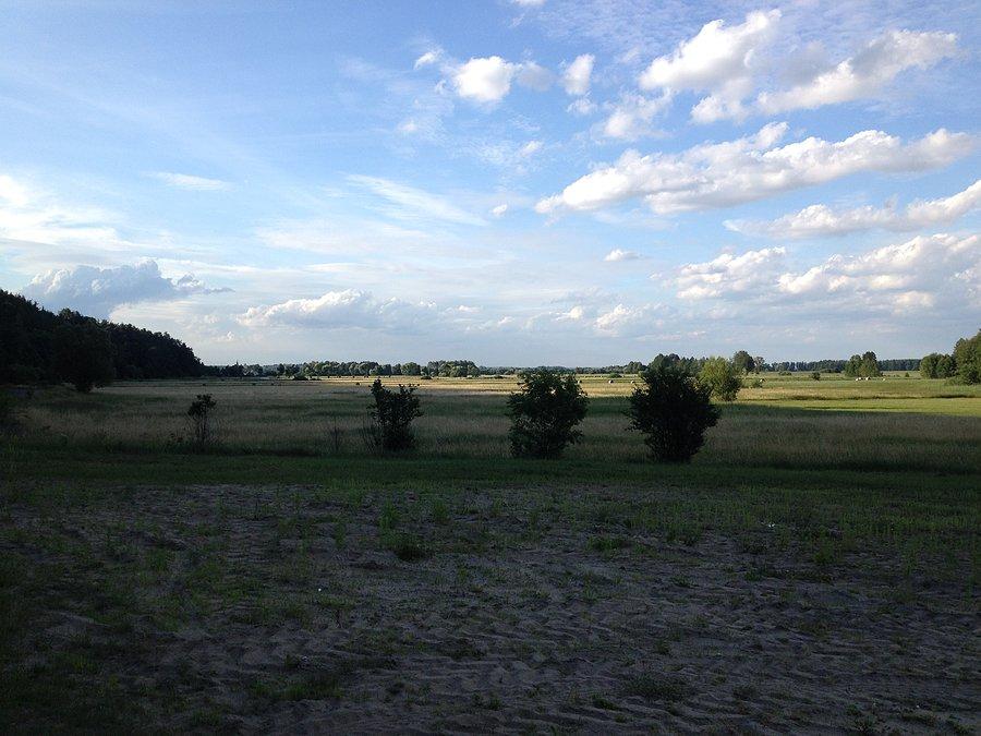 Łąki nadnoteckie na trasie do Radolina