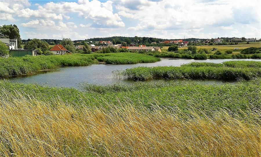 Krajobraz Kociewia