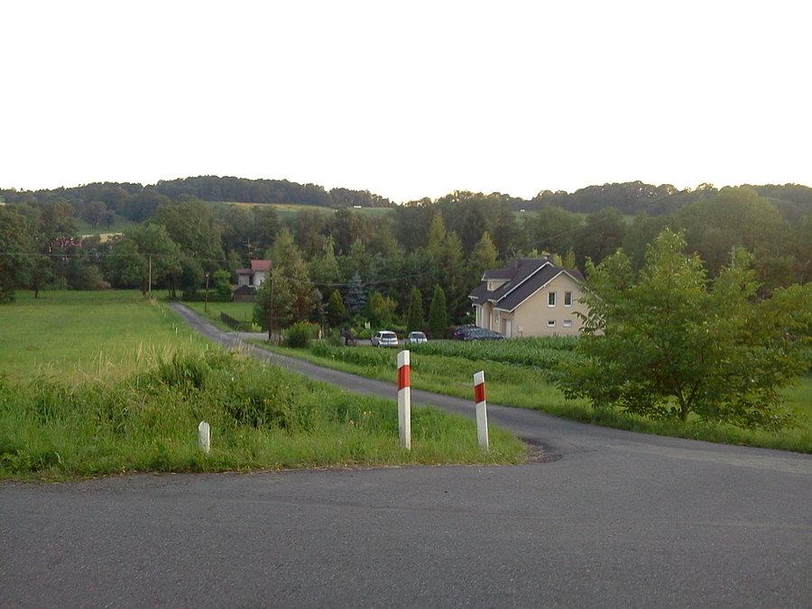 Puńców Dawid
