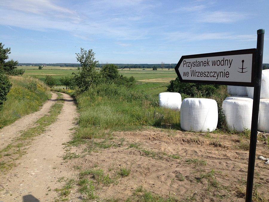 Kierunek przystanek wodny we Wrzeszczynie