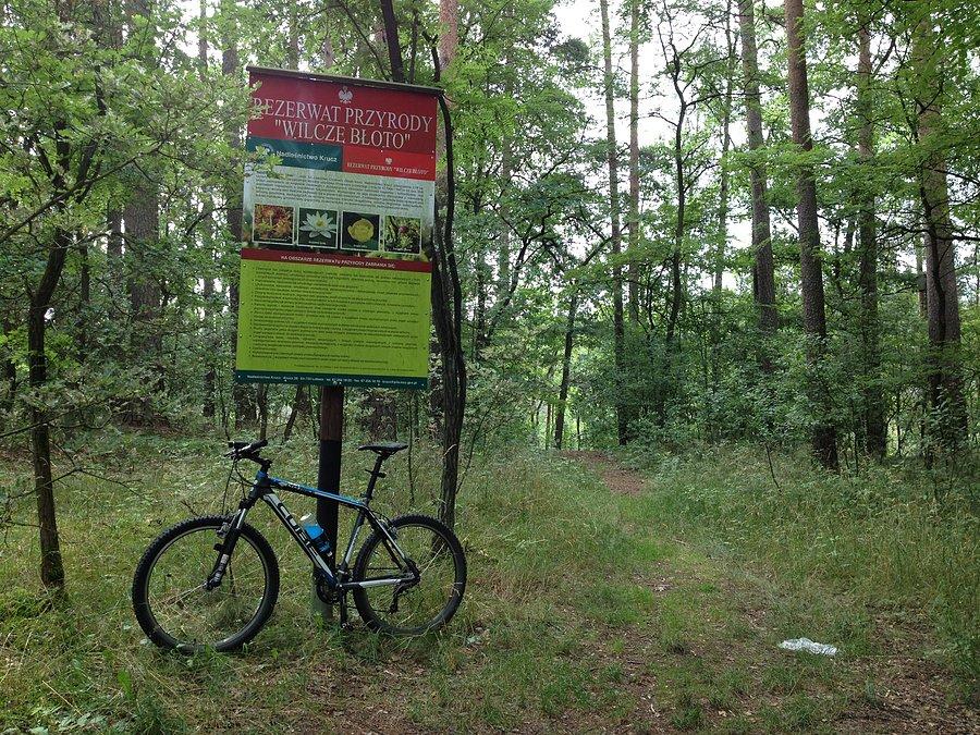 Rezerwat przyrody "Wilcze Błoto"