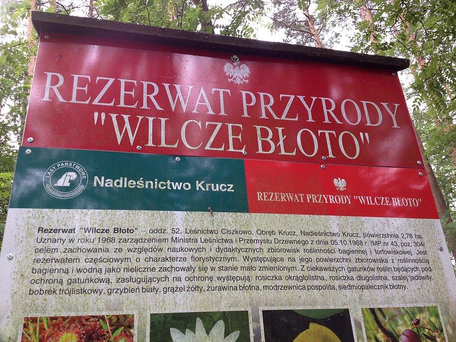 Trochę informacji na temat rezerwatu Wilcze Błoto